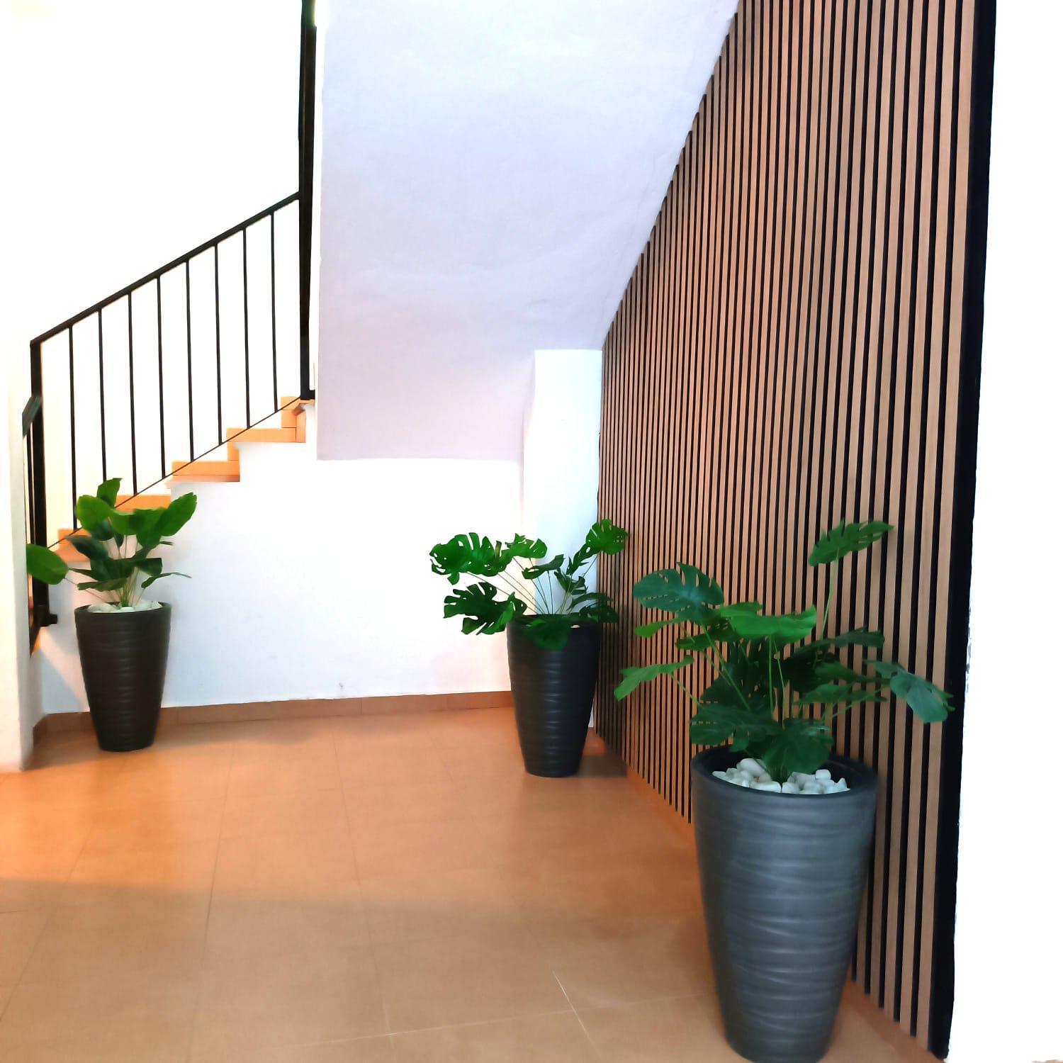 Apartamentos Calle Nueva Малага Екстер'єр фото