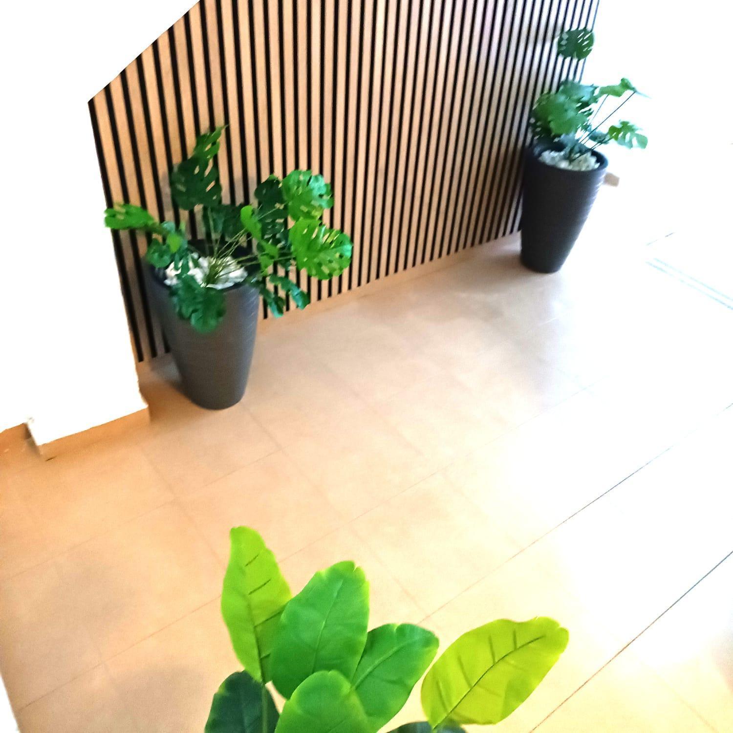 Apartamentos Calle Nueva Малага Екстер'єр фото